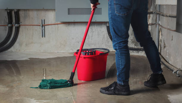 Best 24/7 water damage repair  in East Newark, NJ