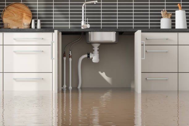 Best Water damage restoration near me  in East Newark, NJ